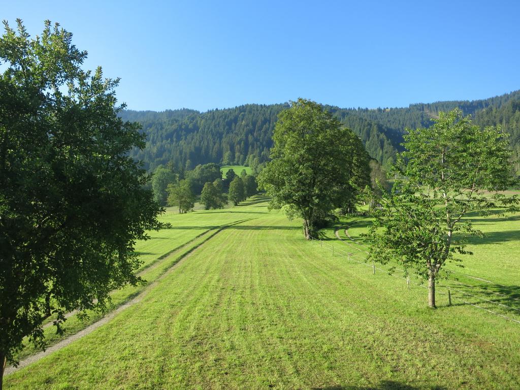 Ferienwohnungen Marchanger Niederau Exterior foto