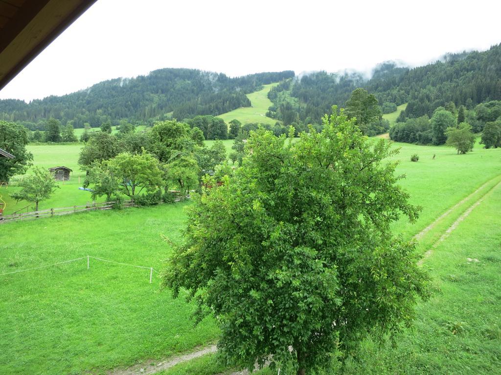 Ferienwohnungen Marchanger Niederau Cameră foto
