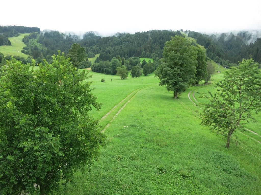 Ferienwohnungen Marchanger Niederau Cameră foto